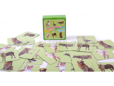 Набор магнитных карточек "Устный счет" №3 (фон зеленый)