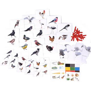 Набор магнитных карточек "Загадки-отрицания". Птицы.