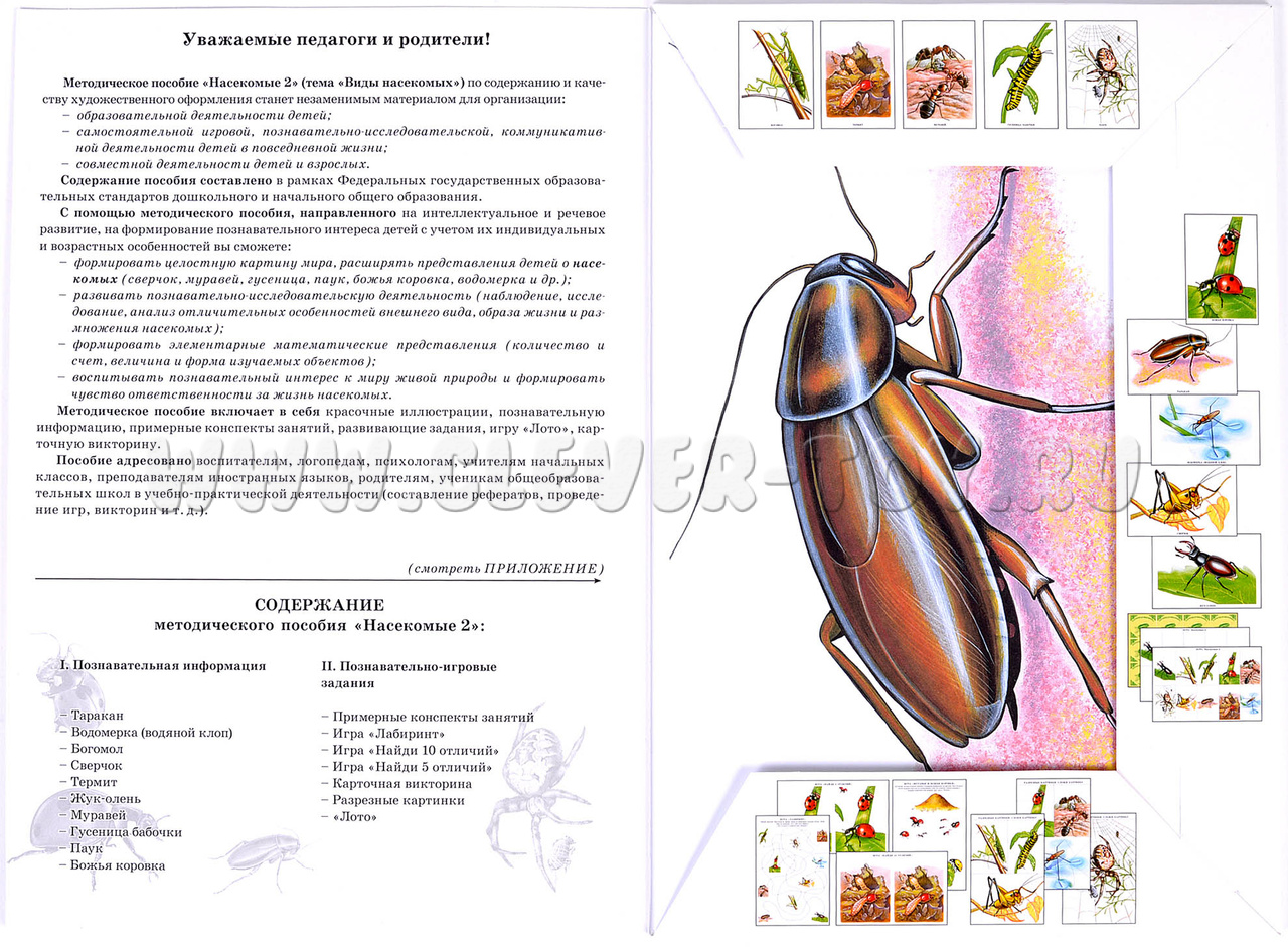 Методическое пособие 