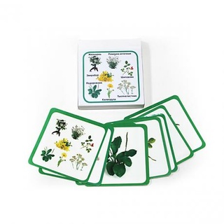 Монтессори карточки "Лекарственные растения"