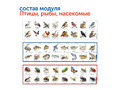 Природные богатства России с РобоМышью с системой хранения (4 робота)