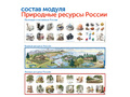 Природные богатства России с РобоМышью с системой хранения (4 робота)